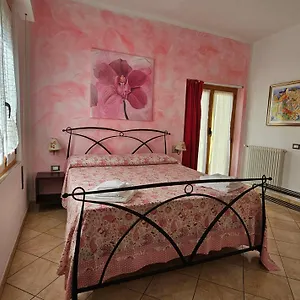 Bed & Breakfast Il Giardino In Citta